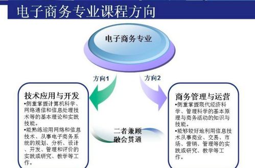 电子商务类考研专业课程